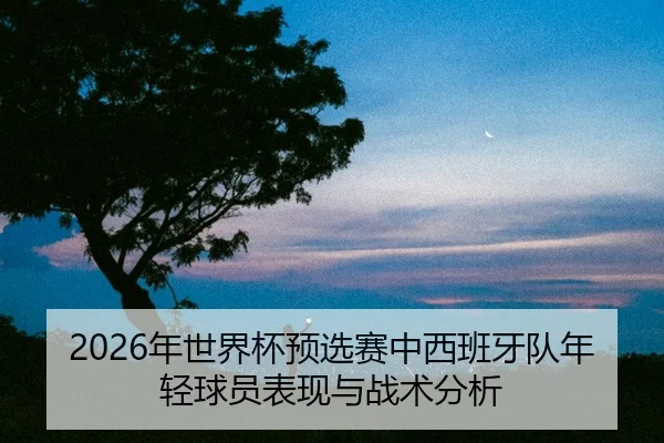 nian-shi-jie-bei-yu-xuan-sai-zhong-xi-ban-ya-dui-nian-qing-qiu-yuan-biao-xian-yu-zhan-shu-fen-xi-2-696.jpg