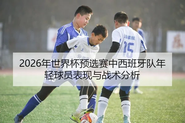 2026年世界杯预选赛中西班牙队年轻球员表现与战术分析
