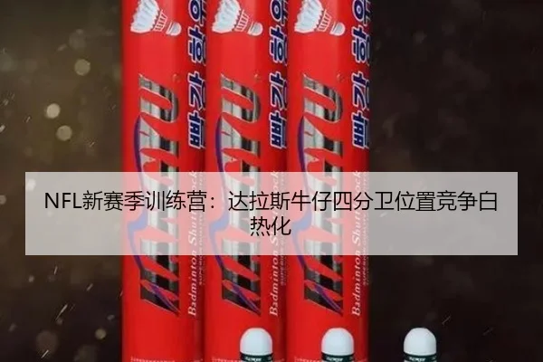 xin-sai-ji-xun-lian-ying-da-la-si-niu-zai-si-fen-wei-wei-zhi-jing-zheng-bai-re-hua-3-505.jpg