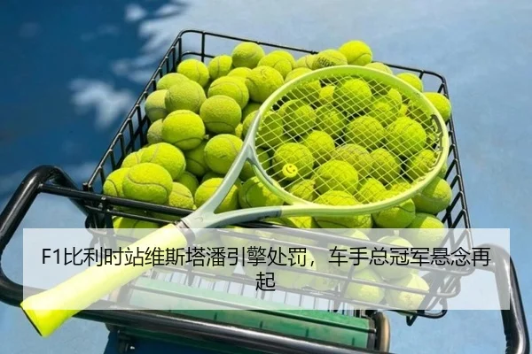 bi-li-shi-zhan-wei-si-ta-pan-yin-qing-chu-fa-che-shou-zong-guan-jun-xuan-nian-zai-qi-3-740.jpg